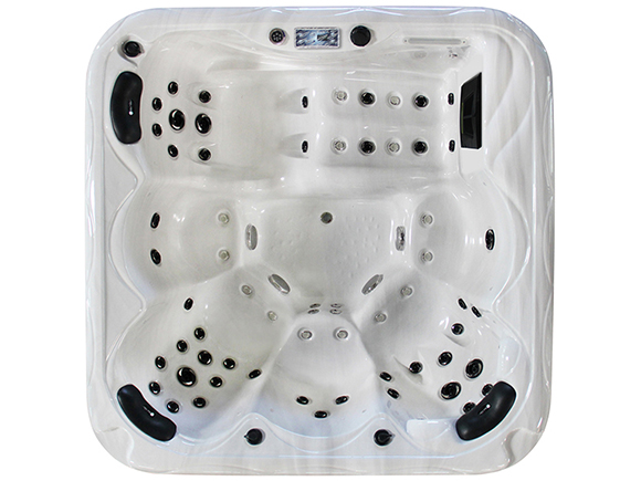 601S 110V hot tub